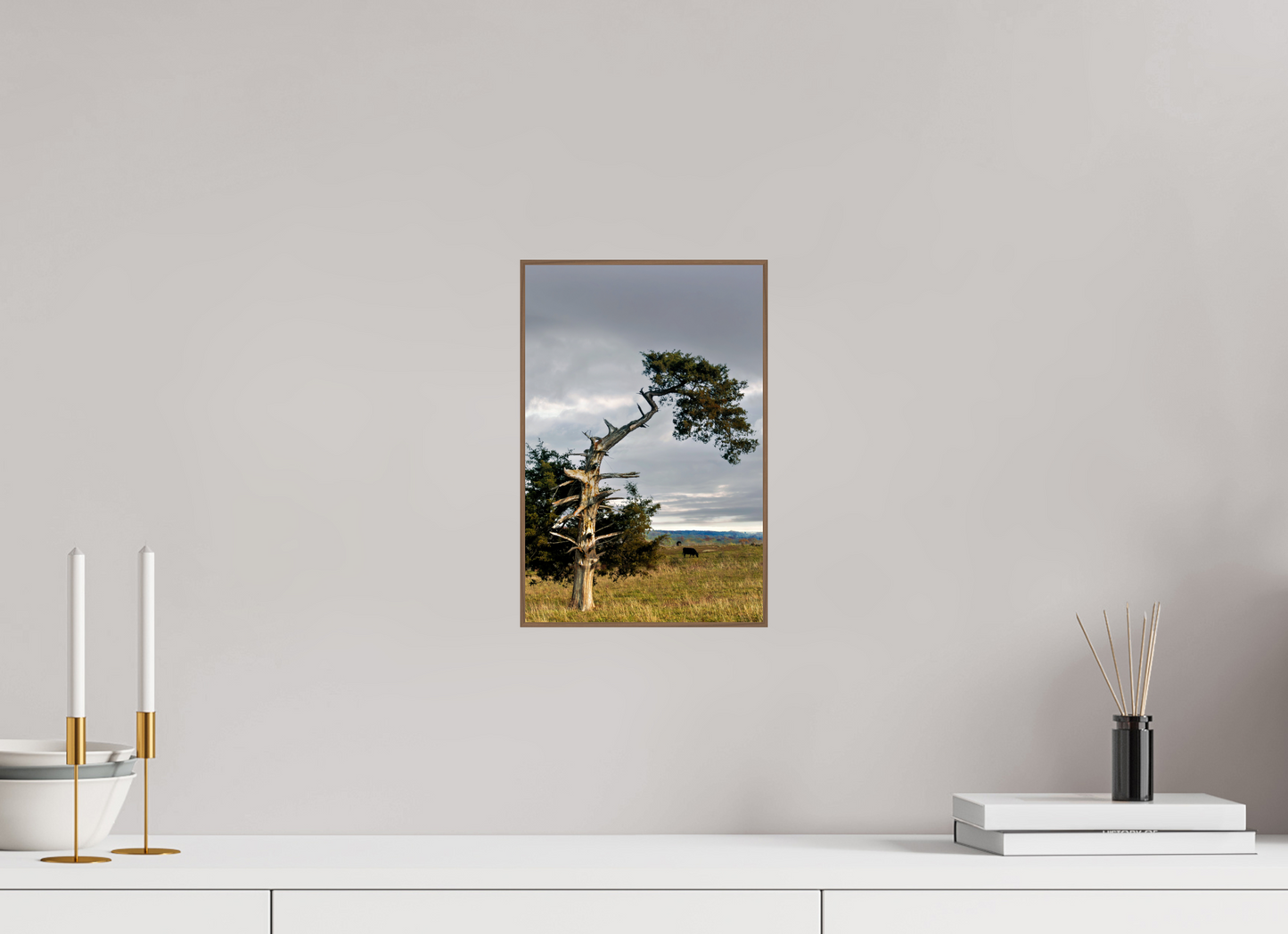 Still Standing - The Cedar That Weathered It All