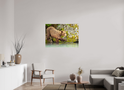 Momma on a Mission Nature Photography Print