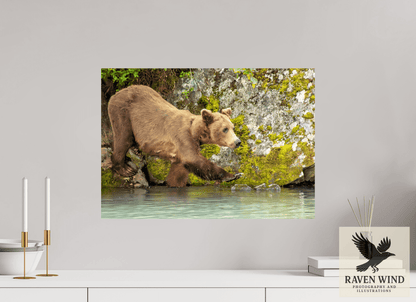 22.7 x 16″, Fine Art Print on Pearl Texture - unframed (email for frame options) Momma on a Mission Nature Photography Print