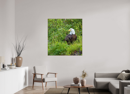 Grounded Majesty – Bald Eagle in Alaska’s Wilderness Nature Photography Print