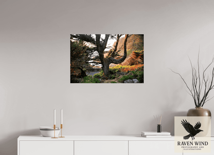 30 x 20″, Fine Art Print on Photo Rag Baryta - unframed (email for frame options) Sunset Glow Fine Art Nature Photography Print