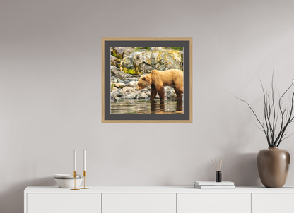 Looking for Dinner Nature Photography Print