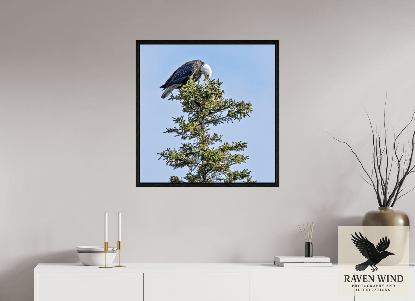 28 x 28.7″, Floater Frame - black oak frame - ready to hang Silent Sentinel - Bald Eagle in Alaska's Pines Nature Photography Print