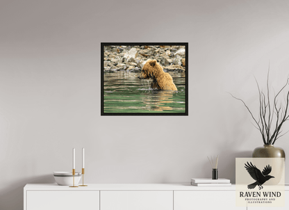 24.3 x 20″, Floater Frame - black oak frame - ready to hang Eye on the Prize Nature Photography Print