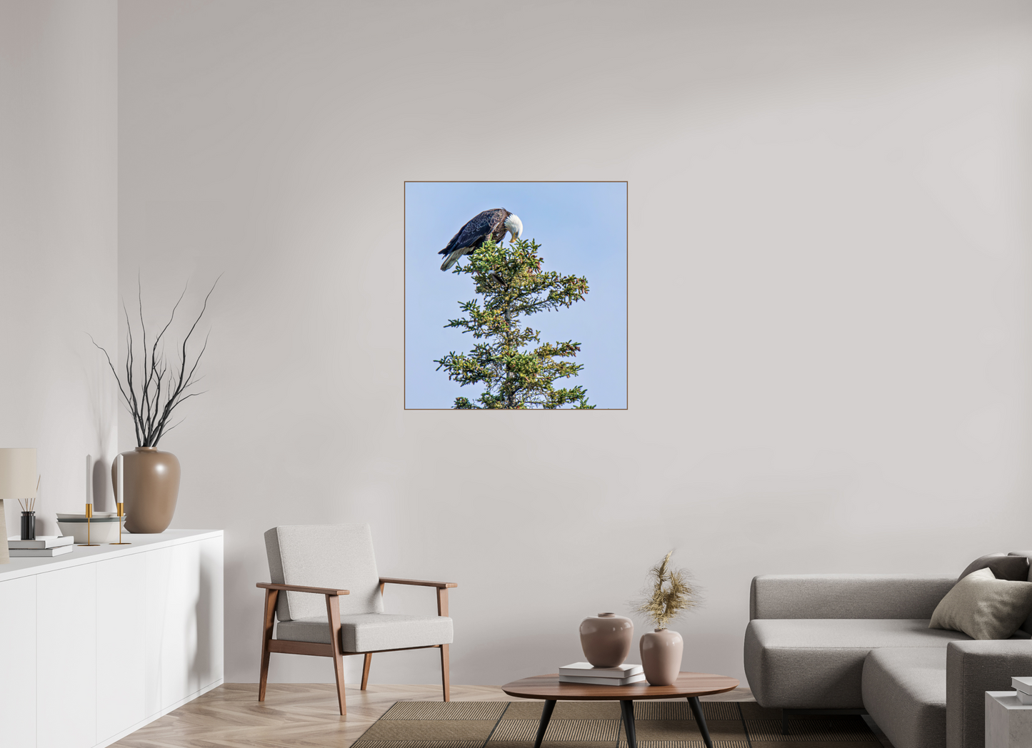 Silent Sentinel – Bald Eagle in Alaska’s Pines Nature Photography Print