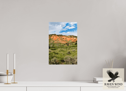 10 x 15″, ChromaLuxe HD Metal Print - ready to hang Salmon Hills Nature Photography Print