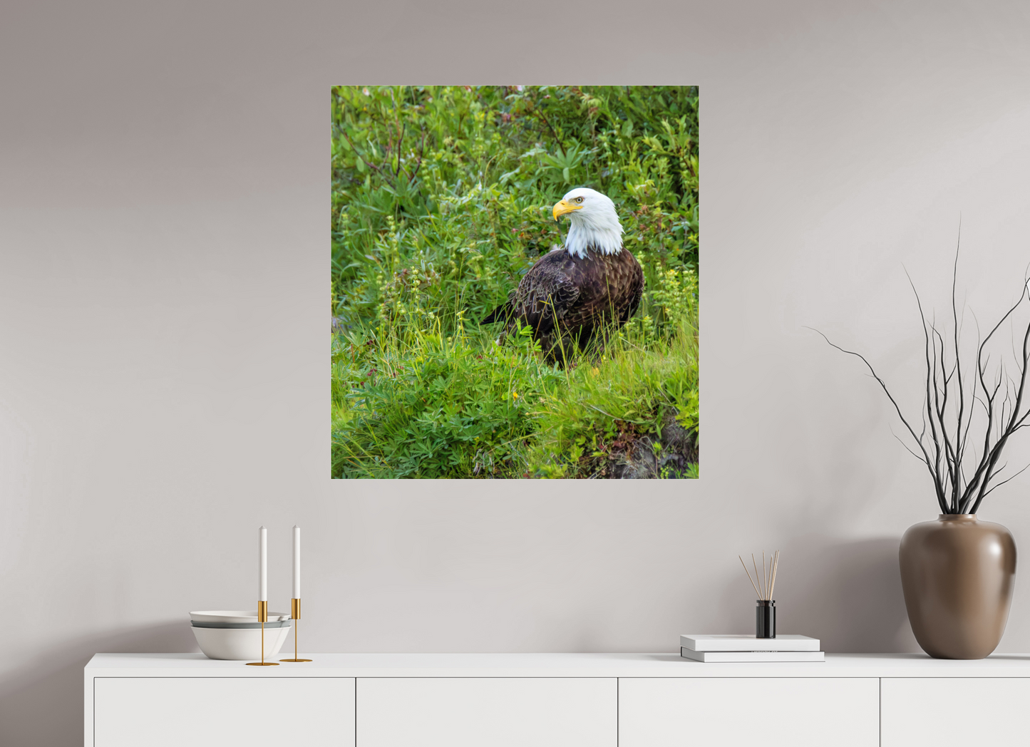 Grounded Majesty – Bald Eagle in Alaska’s Wilderness Nature Photography Print
