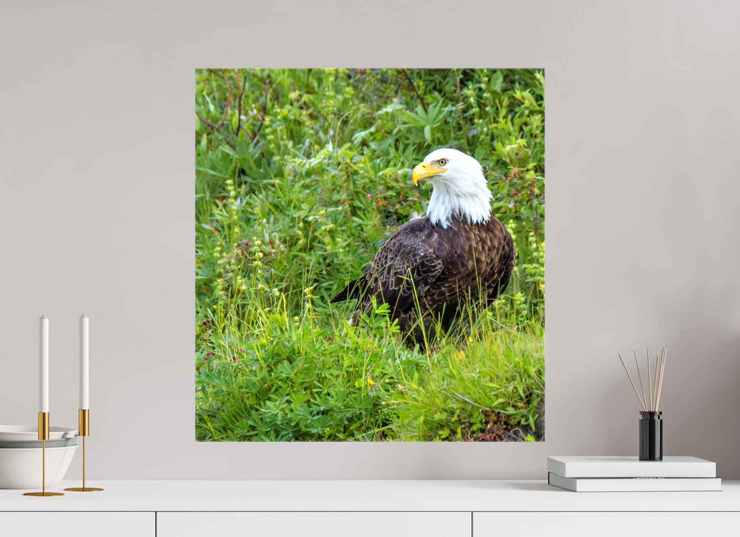 Grounded Majesty – Bald Eagle in Alaska’s Wilderness Nature Photography Print