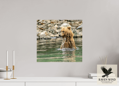 17.2 x 16″, Photo Print On Fuji Crystal DP II - unframed Missed the Catch - but not the moment! Nature Photography Print