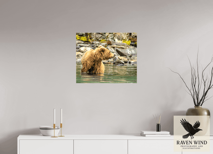 24.1 x 20″, Print on Canvas - ready to hang or set on a shelf Watchful Momma Nature Photography Print