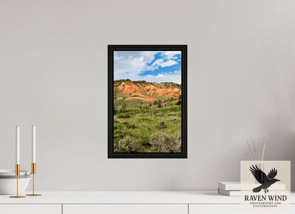 10 x 15″, Floater Frame - black oak frame - ready to hang Salmon Hills Nature Photography Print