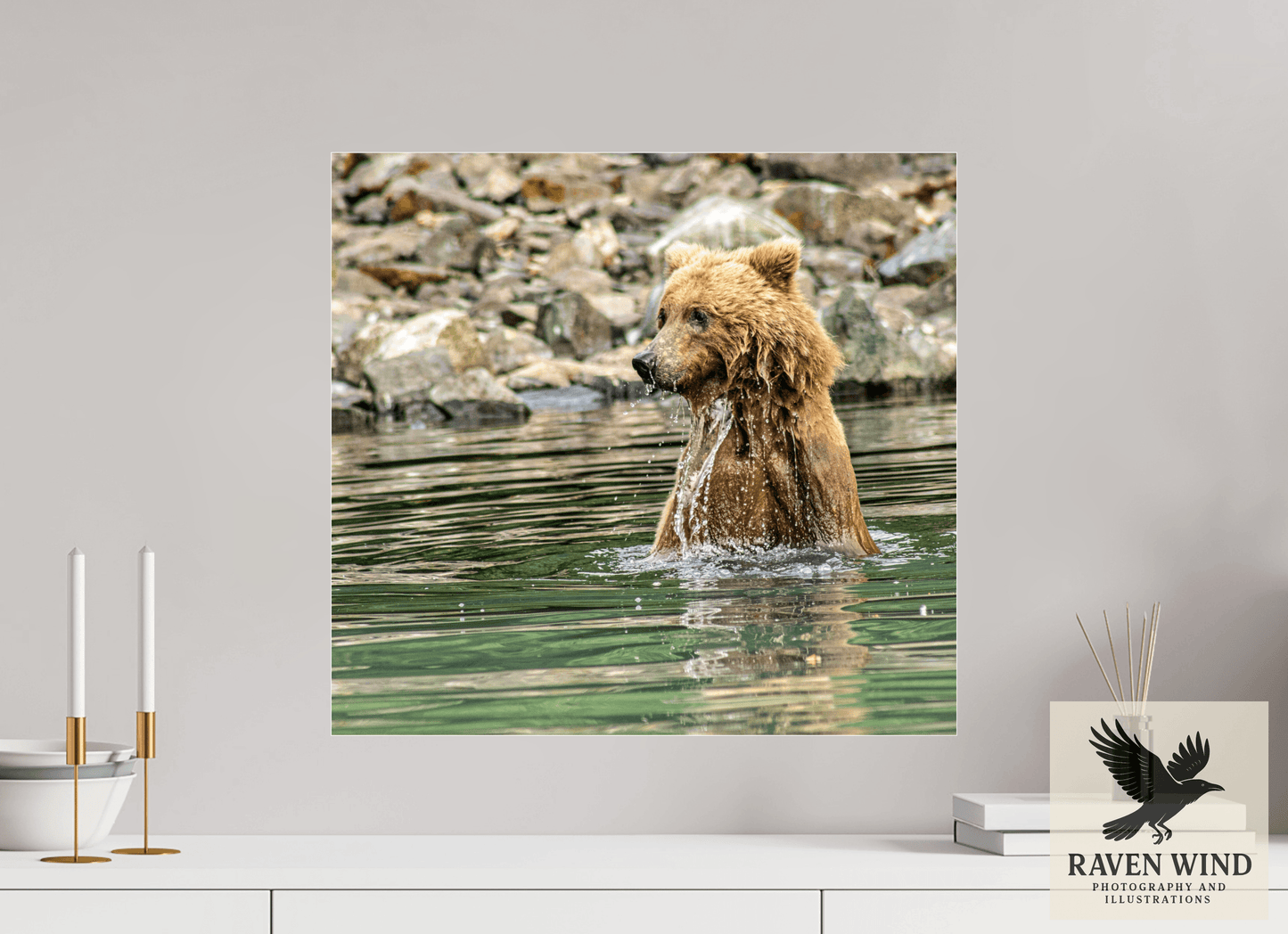 21.5 x 20″, Photo Print Under Acrylic Glass - ready to hang Missed the Catch - but not the moment! Nature Photography Print