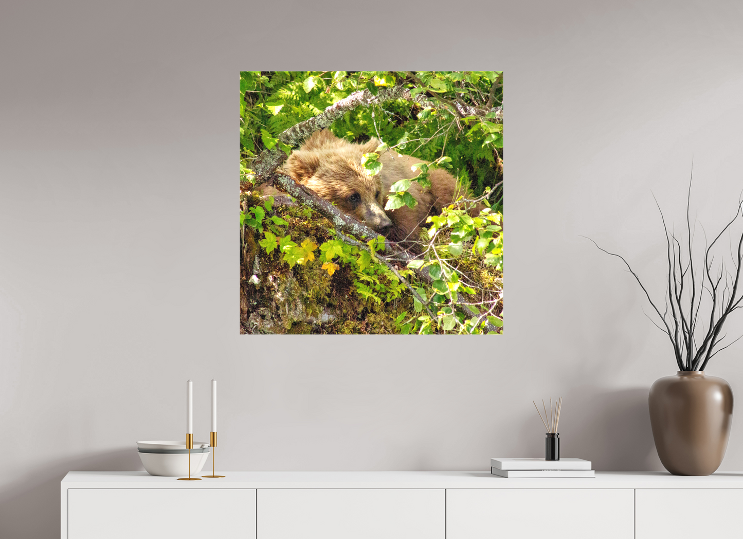Hide and Peek Nature Photography Print
