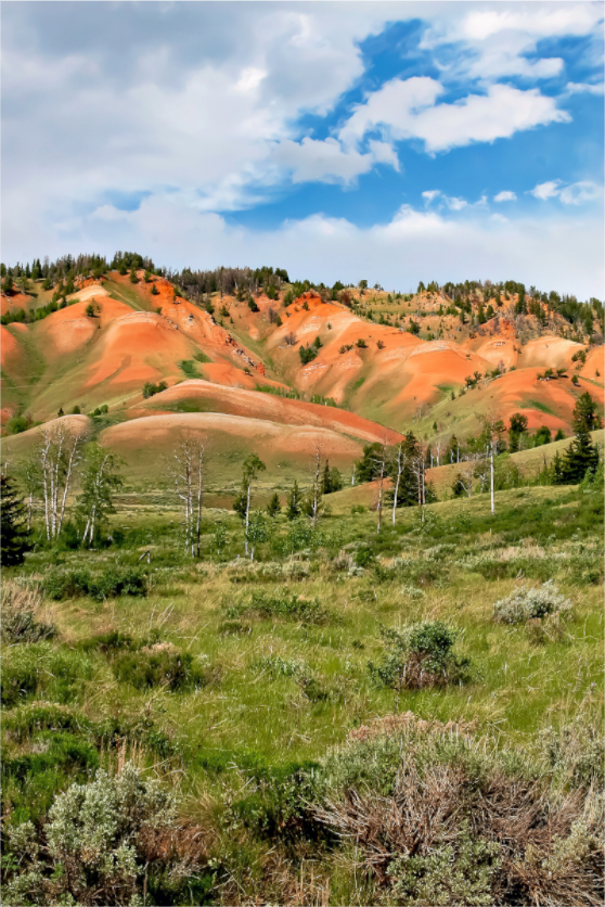 Salmon Hills: Scenic view of red hills and green fields under a blue sky with clouds
