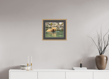 Fishing the Deep End Nature Photography Print
