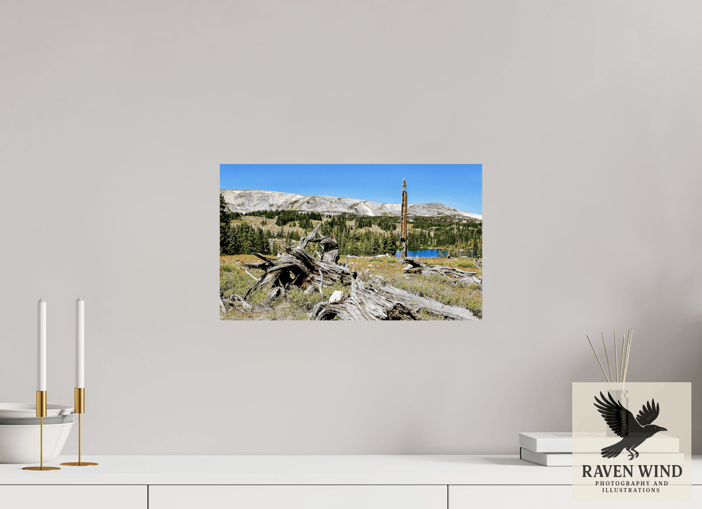 16.8 x 10″, Fine Art Print on Photo Rag Baryta - unframed (email for framing options) Standing Bear Tree - Bear Lake, Colorado Nature Photography Print