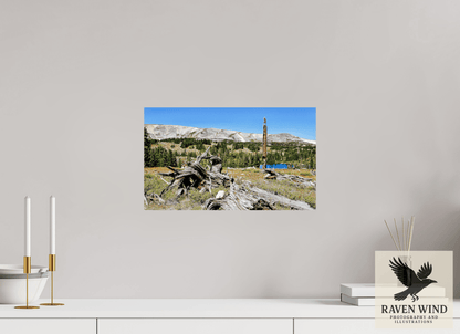 16.8 x 10″, Fine Art Print on Photo Rag Baryta - unframed (email for framing options) Standing Bear Tree - Bear Lake, Colorado Nature Photography Print