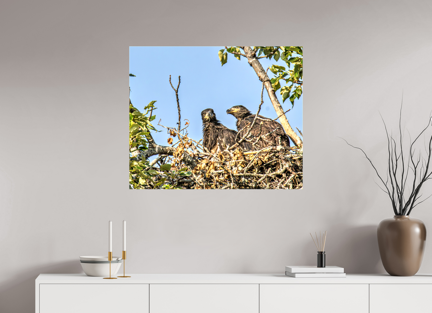 Nestmates – Young Eagles in a Woodland Home – Nature Photography Print