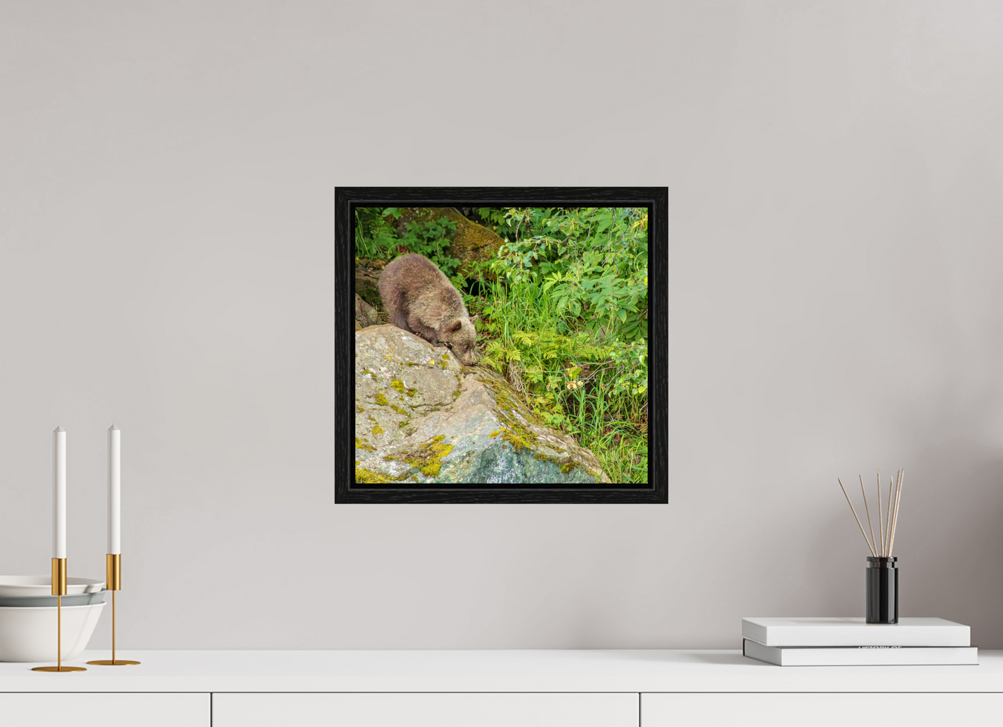 Learning the Ropes Nature Photography Print