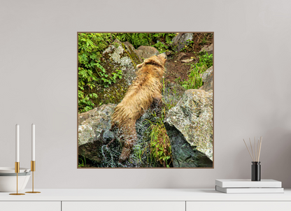 The Shake Nature Photography Print