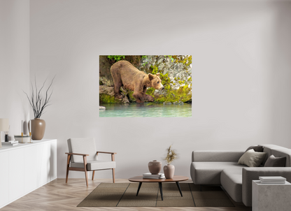 Testing the Waters Nature Photography Print