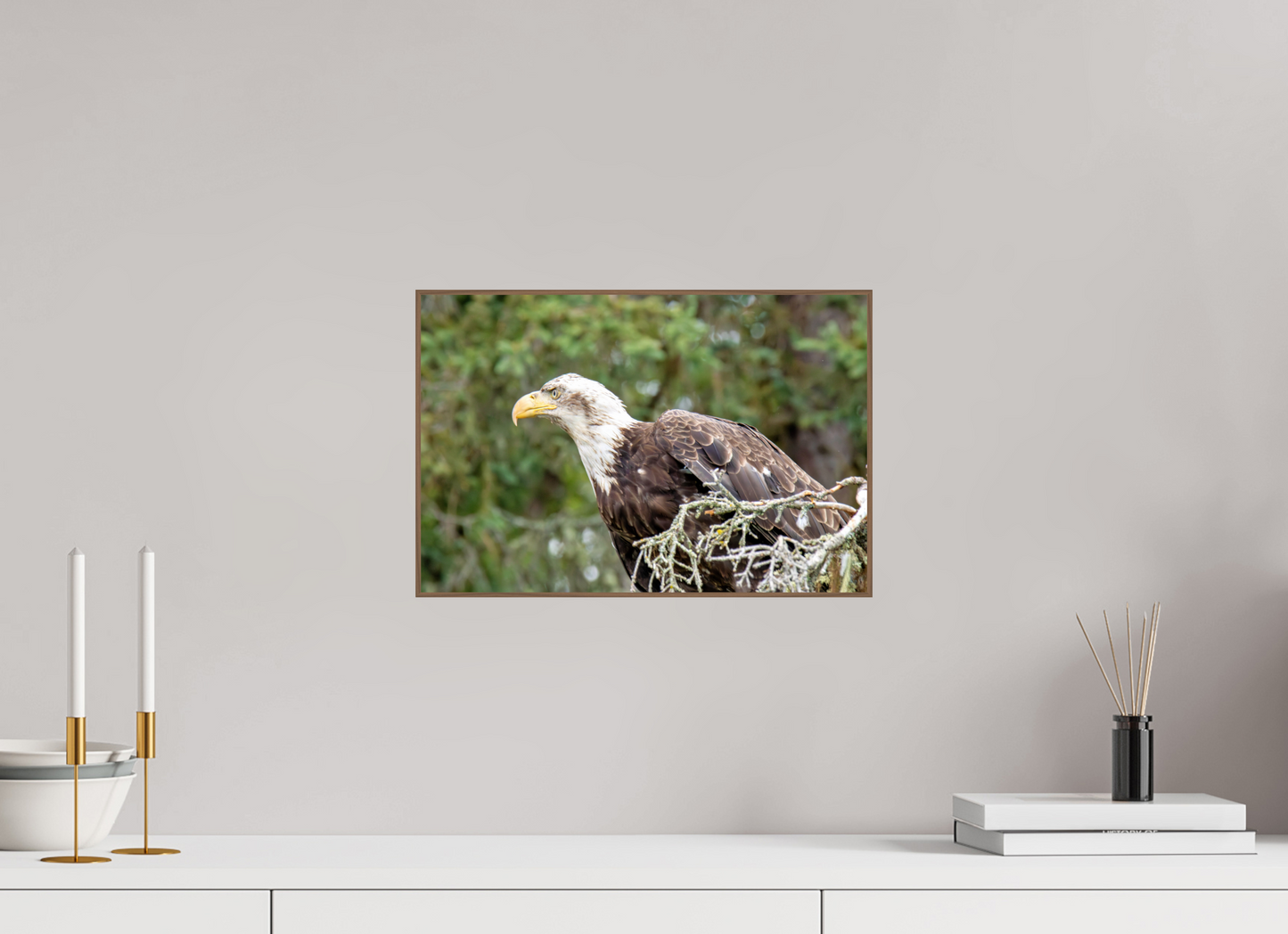 Majestic Watch – Bald Eagle on the Kenai Peninsula Nature Photography Print