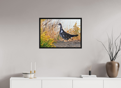 Grounded Grace – Fine Art Print of a Wild Grouse
