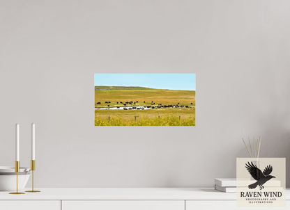 15.4 x 8″, Print Under Acrylic Glass - No Frame - ready to hang Gathering at Mule Creek Nature Photography Print