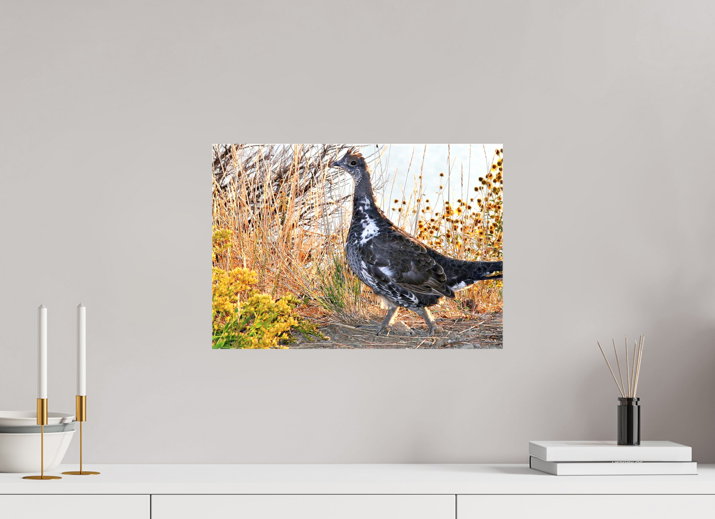 Grounded Grace – Fine Art Print of a Wild Grouse