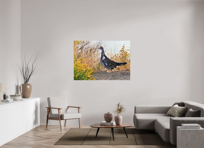 Grounded Grace – Fine Art Print of a Wild Grouse
