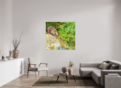 Learning the Ropes Nature Photography Print