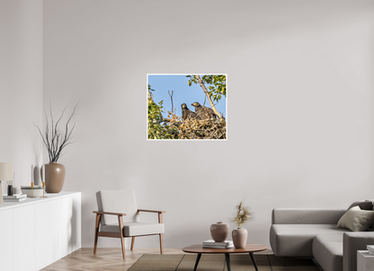 Nestmates – Young Eagles in a Woodland Home – Nature Photography Print