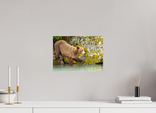 Momma on a Mission Nature Photography Print