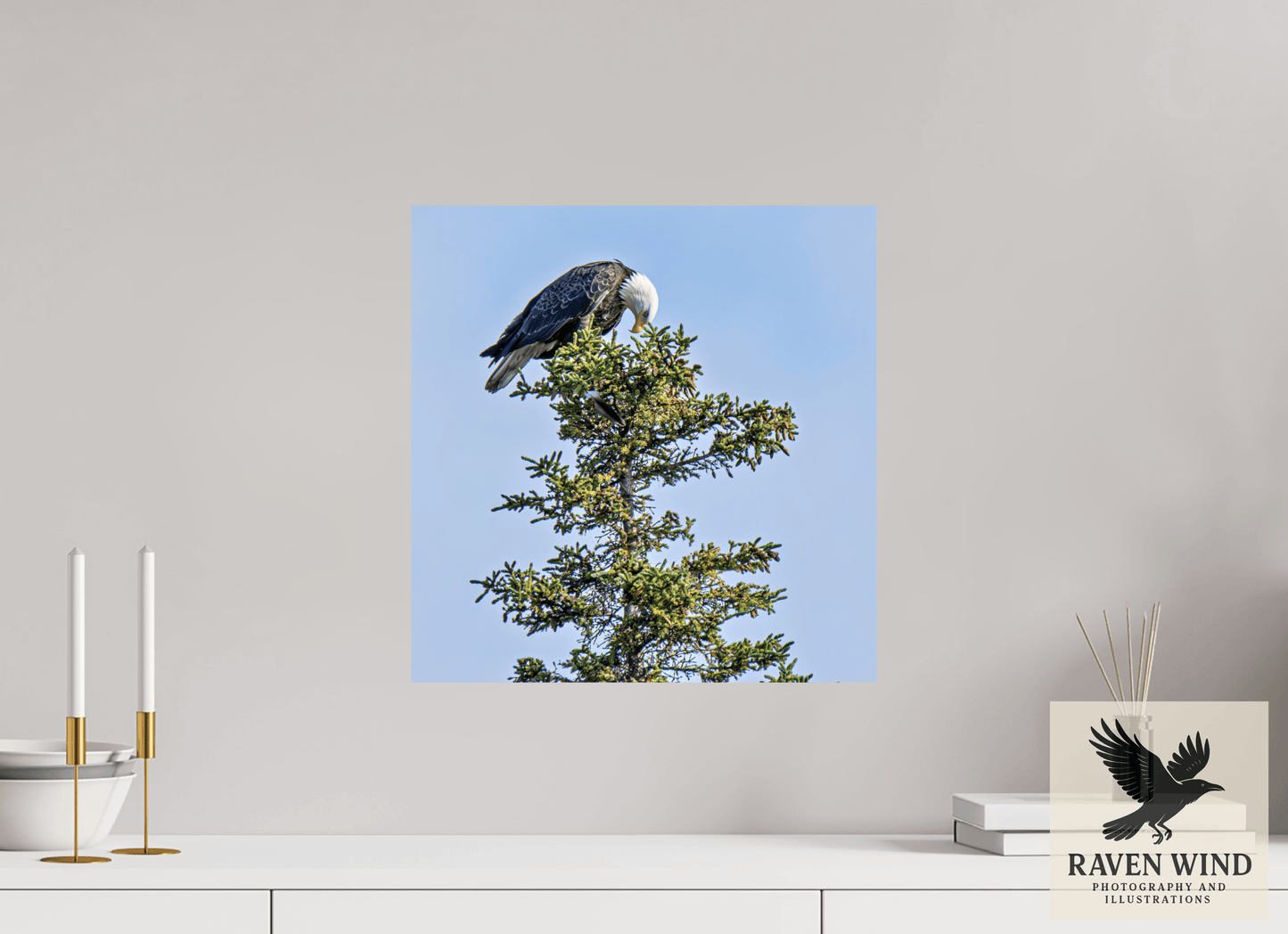 16 x 16.4″, Fine Art Print on Pearl Texture - unframed (email for frame options) Silent Sentinel - Bald Eagle in Alaska's Pines Nature Photography Print