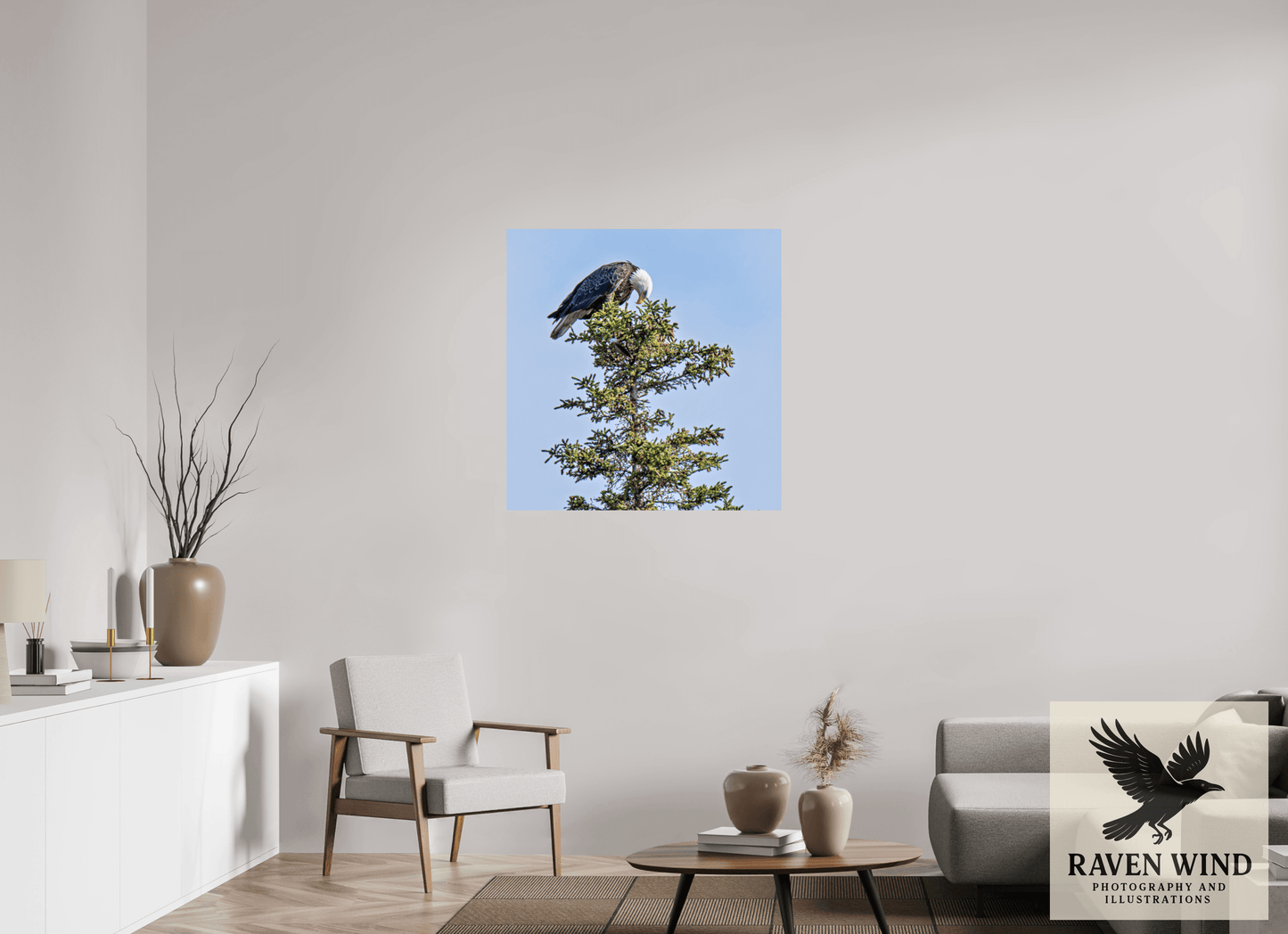 35 x 35.8″, ChromaLuxe HD Metal Print - ready to hang Silent Sentinel - Bald Eagle in Alaska's Pines Nature Photography Print