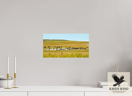 15.4 x 8″, ChromaLuxe HD Metal Print - ready to hang Gathering at Mule Creek Nature Photography Print