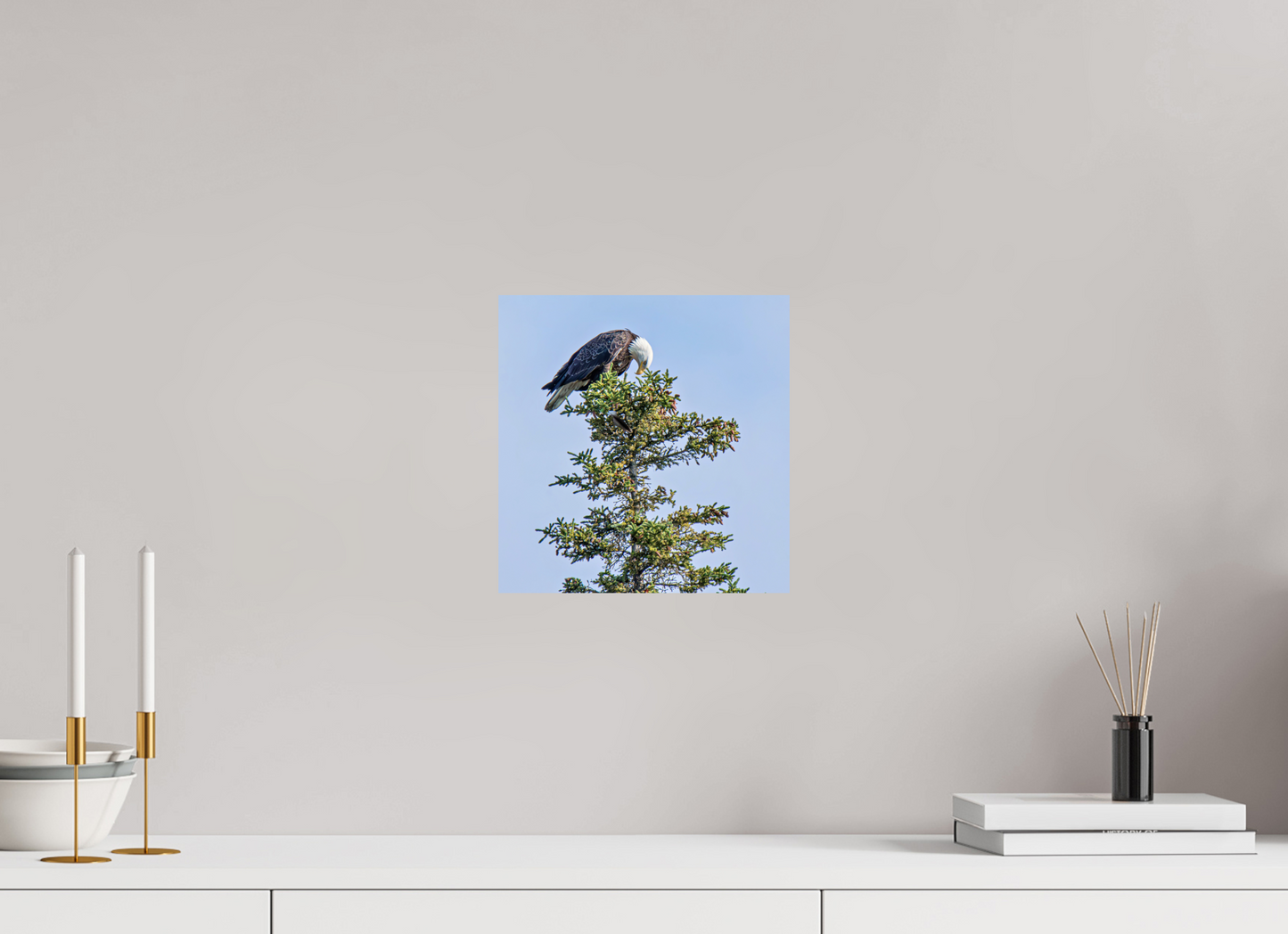 Silent Sentinel – Bald Eagle in Alaska’s Pines Nature Photography Print