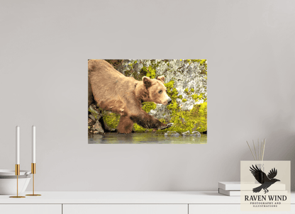 17 x 12″, Print on Canvas - ready to hang or set on a shelf Momma on a Mission Nature Photography Print