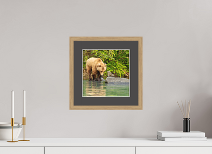 That's a miss! Nature Photography Print