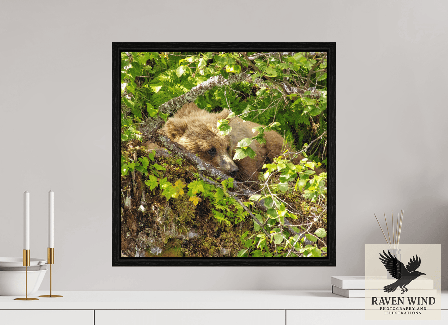 20 x 20″, Floater Frame - black oak frame - ready to hang Hide and Peek Nature Photography Print