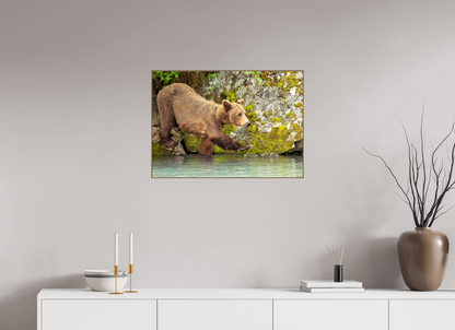 Momma on a Mission Nature Photography Print