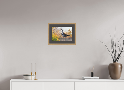 Grounded Grace – Fine Art Print of a Wild Grouse