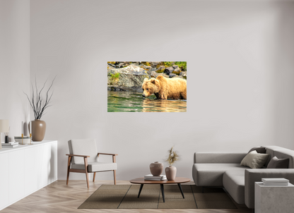 Wild Focus Nature Photography Print