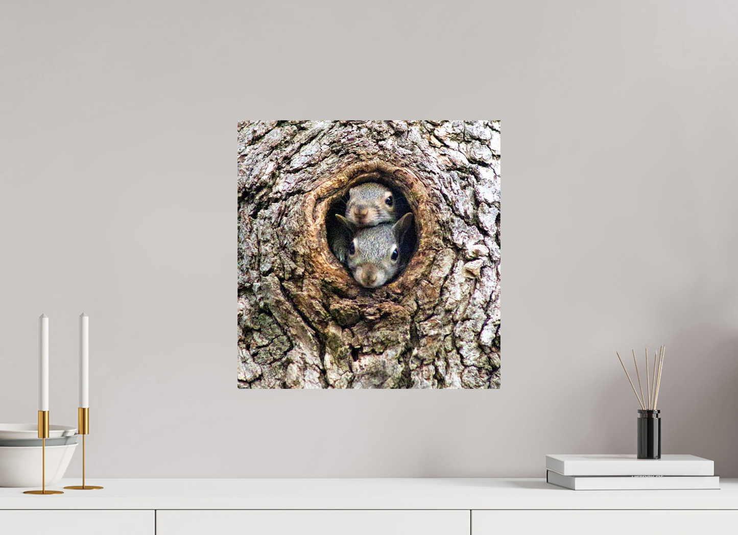 Curious Peek Nature Photography Print