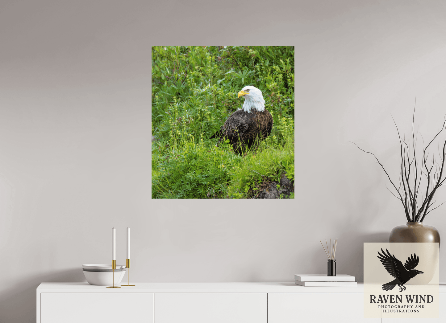 28 x 30″, Fine Art Print on Photo Rag Baryta - unframed (email for frame options) Grounded Majesty - Alaskan Bald Eagle Nature Photography Print
