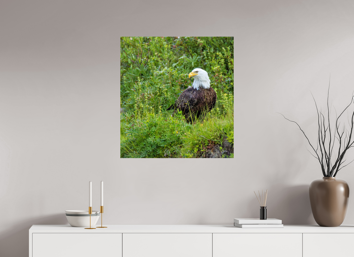 Grounded Majesty – Bald Eagle in Alaska’s Wilderness Nature Photography Print
