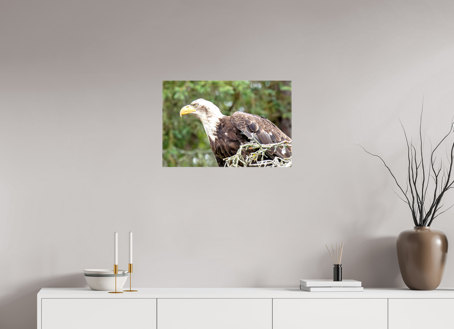 Majestic Watch – Bald Eagle on the Kenai Peninsula Nature Photography Print