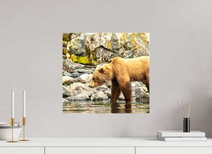 Looking for Dinner Nature Photography Print
