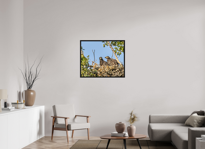 Nestmates – Young Eagles in a Woodland Home – Nature Photography Print