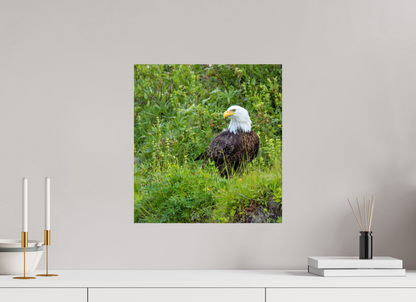 Grounded Majesty – Bald Eagle in Alaska’s Wilderness Nature Photography Print